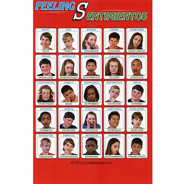 Mini Spanish/English Youth Feelings Poster Set of 12