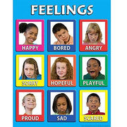 Affiche plastifiée sur les sentiments des jeunes enfants