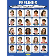 Laminated Teen Feelings Poster 18 x 24 inches